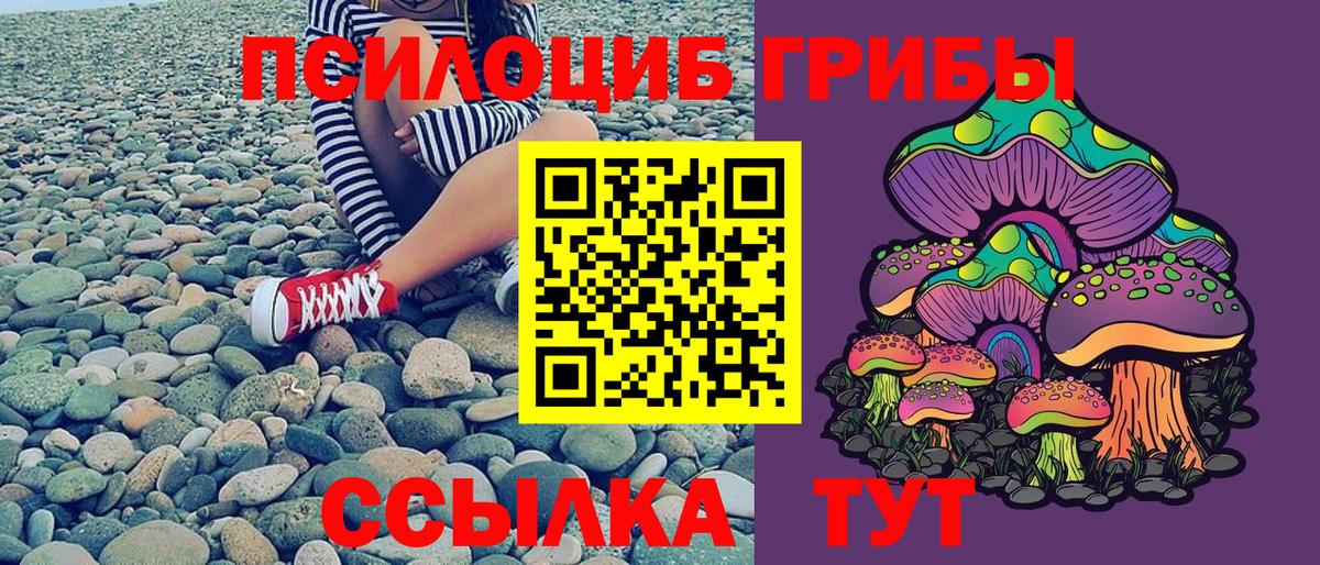 наркотики  Галлюциногенные грибы GOLDEN TEACHER  Вход с VPN  Алейск 