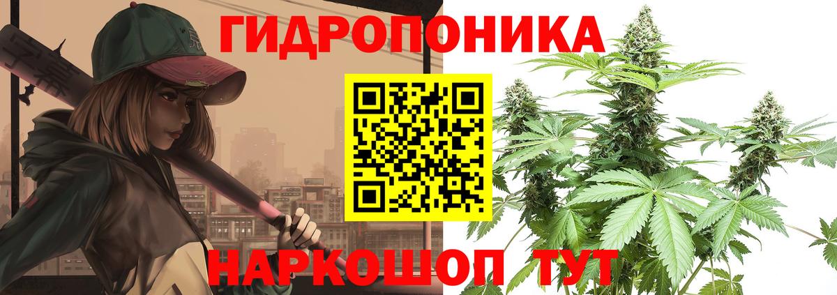 Конопля планчик  Канабис марихуана  Алейск  Марихуана MAZAR  Вход с VPN  Каннабис Bruce Banner 